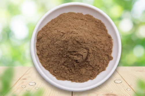 How Is Lion's Mane Mushroom Extract Powder Used in Modern Formulas?